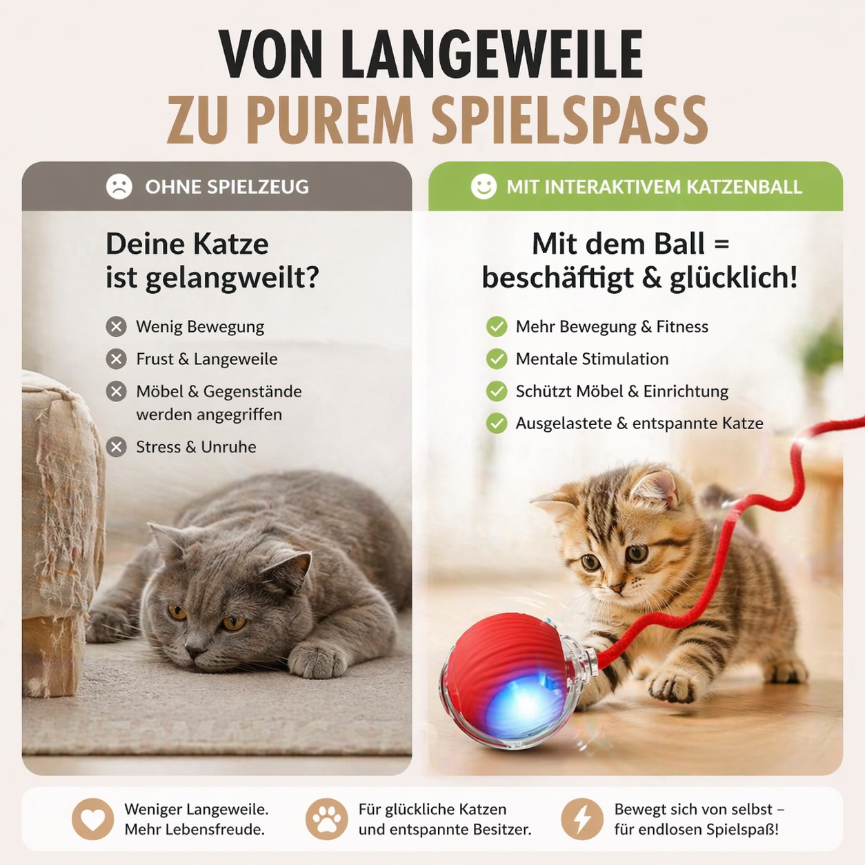 PurrSpin Pro - Spielspaß für deine Katze. Auch ohne dich.