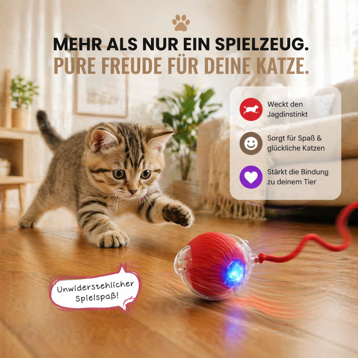PurrSpin Pro - Spielspaß für deine Katze. Auch ohne dich.